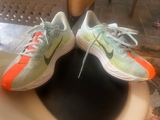 Nike Pegasus plus glacier blue size 5 women’s